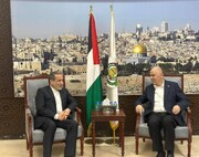 Araghchi et les dirigeants du Hamas ont abordé la reconstruction de Gaza