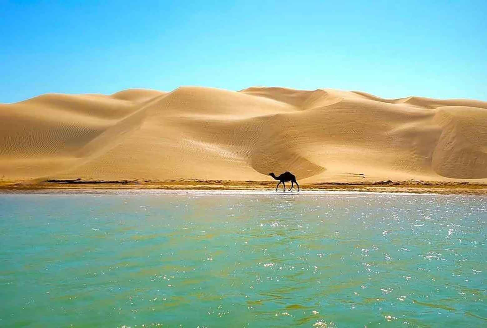 چابهار، افسون جنوب؛ جایی که زمین و دریا به هم می‌رسند