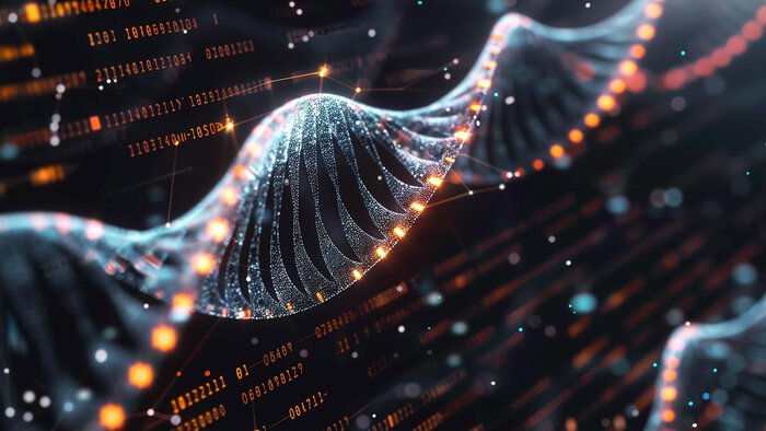 Hücresel Süreçlerde ve Metabolizmada Fonksiyonu Fosfor, büyüme, çoğalma ve hücre onarımı için gerekli olan DNA ve RNA'nın yapı taşlarındandır.