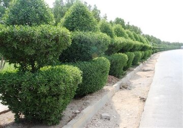 کمربندی سبز بر قامت باغ شهر خرم‌آباد