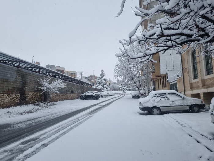 جاده‌های اصلی شمال کشور در محاصره برف/ ۵۰ راه روستایی مازندران مسدود است