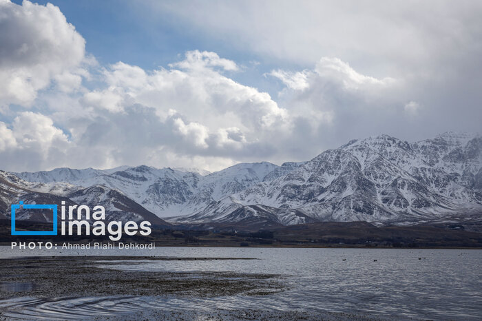 لانهگزینی خشکسالی در کنار تالابهای چهارمحال و بختیاری