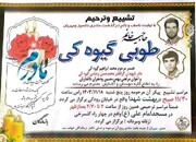 مادر ۲ شهید بروجردی آسمانی شد