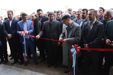 کنترل قیمت کالا از طریق مدیریت عرضه و تقاضا میسر است