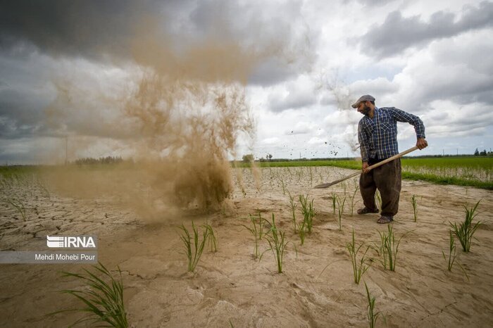 فرونشست و کمبود آب/ مرگ تدریجی یک دشت در قزوین
