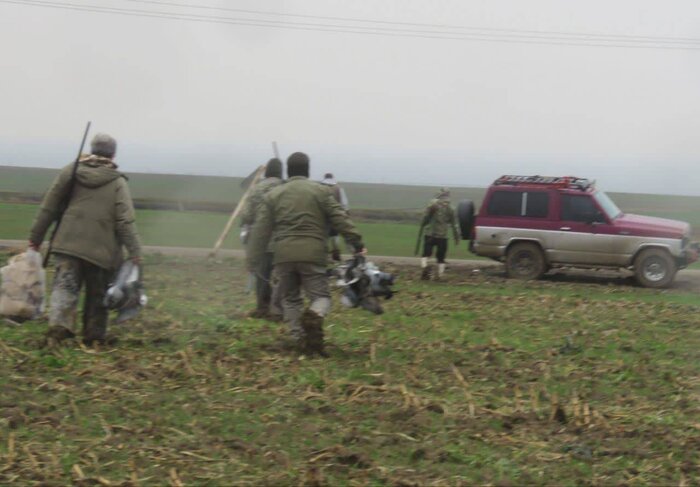 از صدور گواهی سلامت روان برای رانندگان تا وضعیت توله خرس گمشده پردیسان