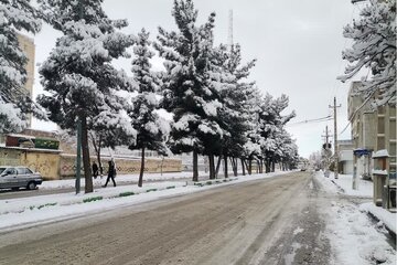 فیلم/ نخستین برف زمستانی شهر کرمانشاه را سفید پوش کرد