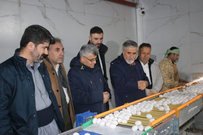 چهار روستای مرزی سردشت به گاز طبیعی متصل شدند