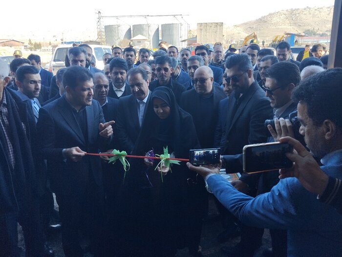 معاون رییس جمهور: ظرفیتهای ایلام برای رشد فعال شود