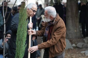 تقدیم بخش «درخت زرین» جشنواره تجسمی فجر به سرو چهارهزار ساله