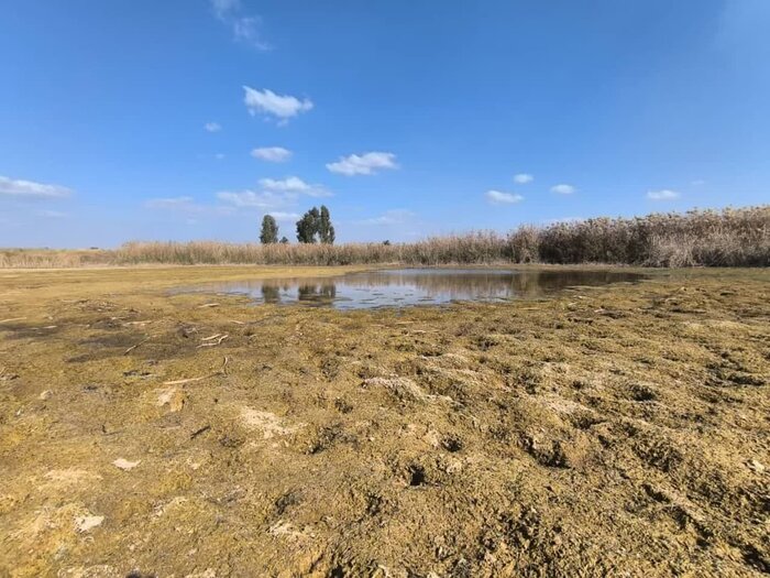 تامین نشدن حقآبه به چالش جدید هفت تپه تبدیل شده است