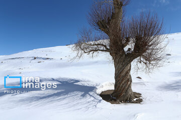 Sahand Ski Resort, Tabriz, northwestern Iran