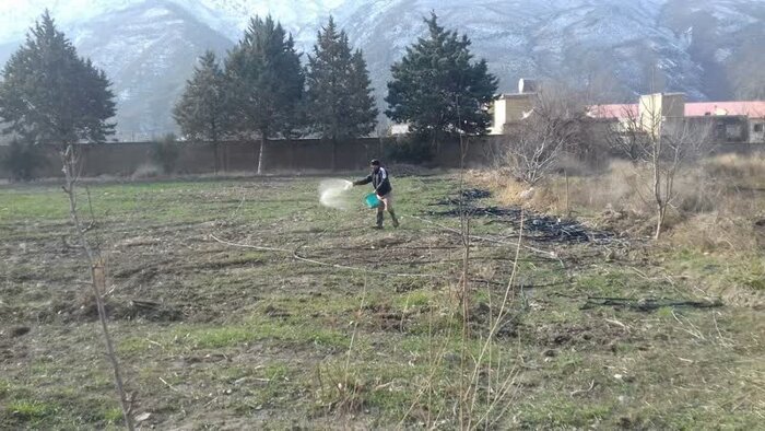 کاهش بارشها و سرمای غیرمعمول؛ چالش جدید کشاورزان گلستانی