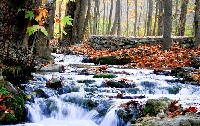 ورود گردشگران به دره «چهلمیر» درگز ممنوع شد - ایرنا