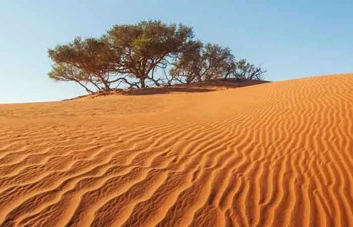 استاندار سمنان: اقتصادی‌کردن کویر با تامین زیرساخت‌ها و نگاه چندجانبه میسر است