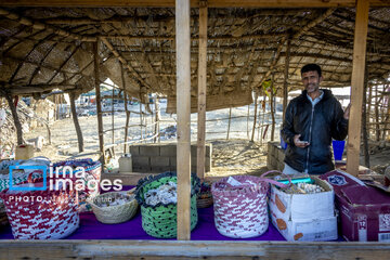 Chabahar beauties; from  Pink lake to Merrikhi Mountains
