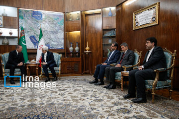 Iran's Vice-President  meets with Turkmenistan's Deputy Prime Minister