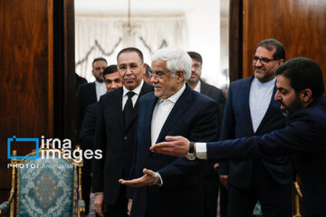 Iran's Vice-President  meets with Turkmenistan's Deputy Prime Minister