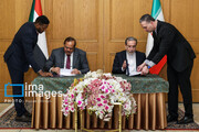 Iran supports Sudanese government and army against rebels