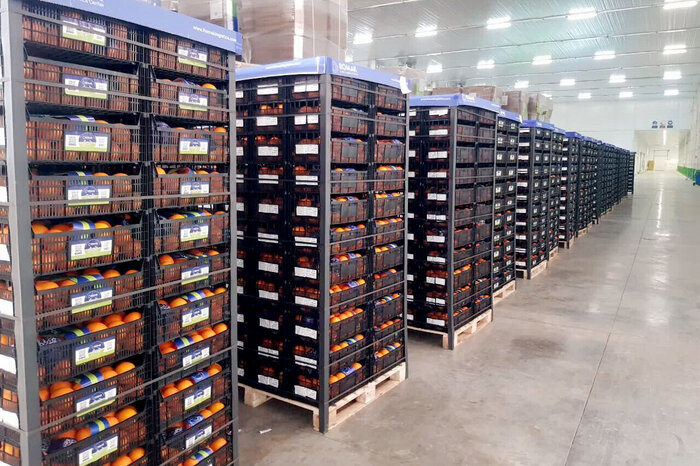 افزون بر ۲۸ هزار تُن مرکبات از نکا به خارج از کشور صادر شد