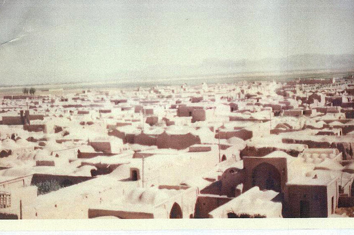 میراث کهن گز، زیر چرخهای توسعه شهری