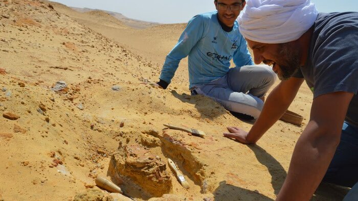 کشف رازهایی درباره پادشاه جنگلهای مصر باستان