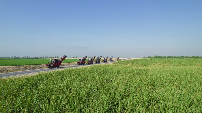 تولید شکر از مرز نیم میلیون تُن عبور کرد