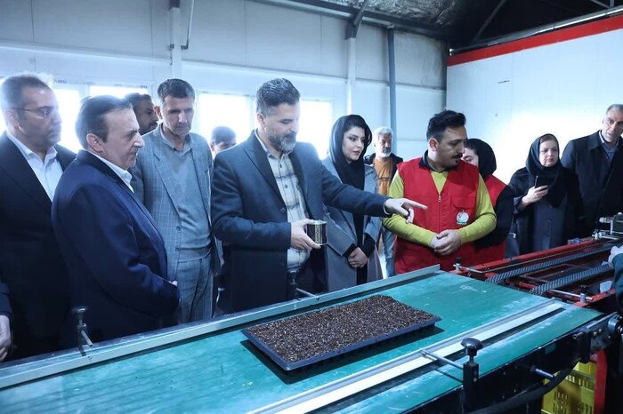 استاندار قزوین: کشاورزی باید مبتنی بر رویکرد دانش بنیان توسعه یابد