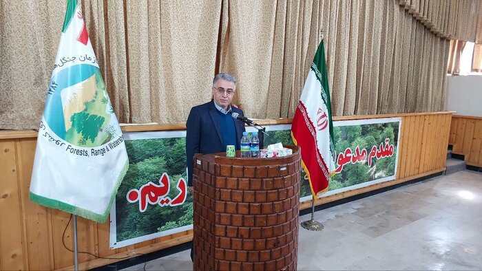 رییس سازمان منابع طبیعی: مدیریت پایدار عرصههای جنگلی باروشهای سنتی امکانپذیر نیست