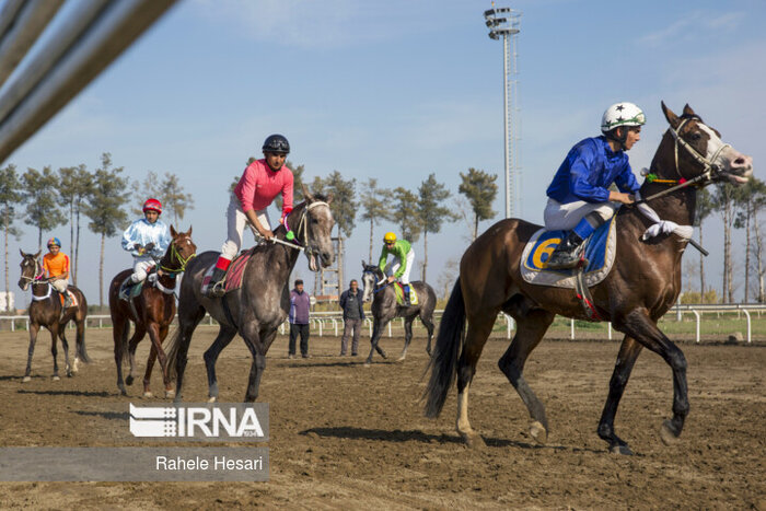 ۸۶ میلیارد ریال پاداش برای اسب‌های برتر کورس گنبدکاووس