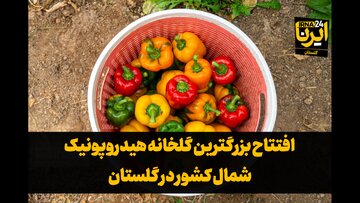 فیلم| افتتاح بزرگترین گلخانه هیدروپونیک شمال کشور در گلستان