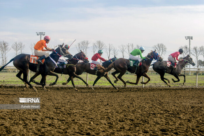 اسبهای برتر هفته هشتم کورس پاییزه گنبدکاووس معرفی شدند