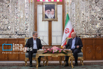 El secretario general de Yihad Islámica Palestina se reúne con el presidente del Parlamento iraní