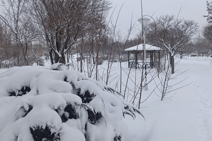 برف و سرما در استان اردبیل ادامه می یابد/ نیر ۱۴ سانتیگراد زیر صفر