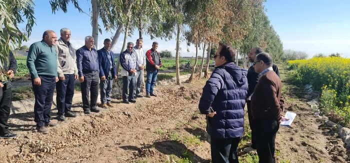 تور ترویجی محقق مروجان ارشد کشاورزی کشور در دزفول برگزار شد