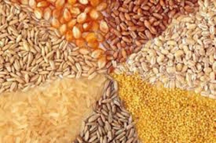 انحصار زدایی خواسته بخش خصوصی راهبرد دولت چهاردهم انحصار زدایی خواسته بخش خصوصی راهبرد دولت چهاردهم