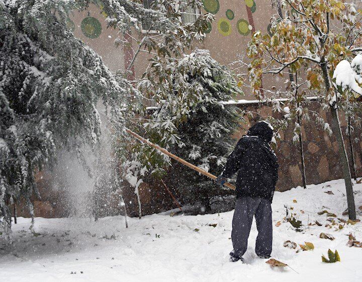 توصیه سازمان جهادکشاورزی آذربایجان شرقی به باغداران؛ درختان را برف تکانی کنید توصیه سازمان جهادکشاورزی آذربایجان شرقی به باغداران؛ درختان را برف تکانی کنید