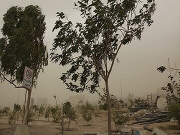هواشناسی اردبیل: وزش باد شدید تا یکشنبه در استان ادامه می یابد