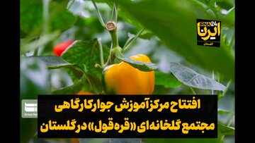فیلم| افتتاح مرکز آموزش جوارکارگاهی مجتمع گلخانه‌ای «قره‌قول» گلستان