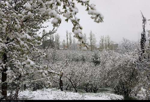 آمادهباش گروههای اضطرار تا پایان یخبندان در مازندران