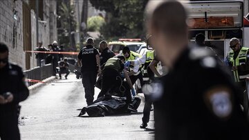 Opération antisioniste dans le sud de Haïfa / 12 sionistes blessés + vidéo