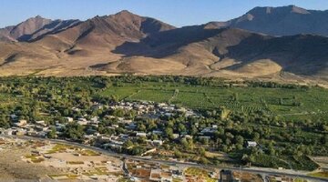 مدیریت حوزه آبخیزداری؛ راهکار پایداری انگور ملایر