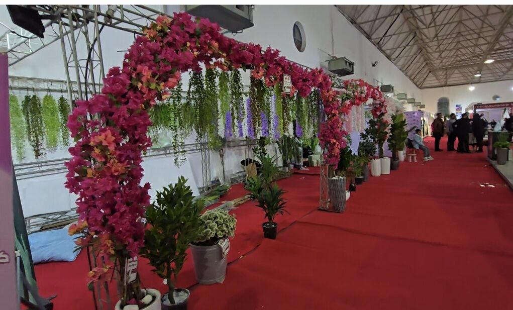 نمایشگاه صنعت مد و تشریفات ازدواج در بوشهر گشایش یافت نمایشگاه صنعت مد و تشریفات ازدواج در بوشهر گشایش یافت