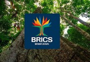 Jóvenes de los países del BRICS intercambian opiniones sobre cuestiones internacionales