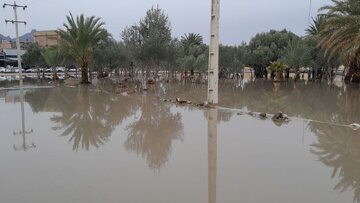 فیلم| آبگرفتگی معابر خاش 
