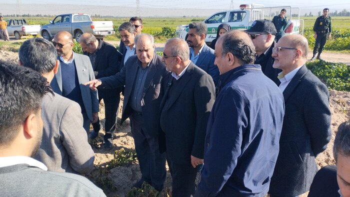 خسارت سرما به کشاورزی شمال خوزستان بسیار سنگین است