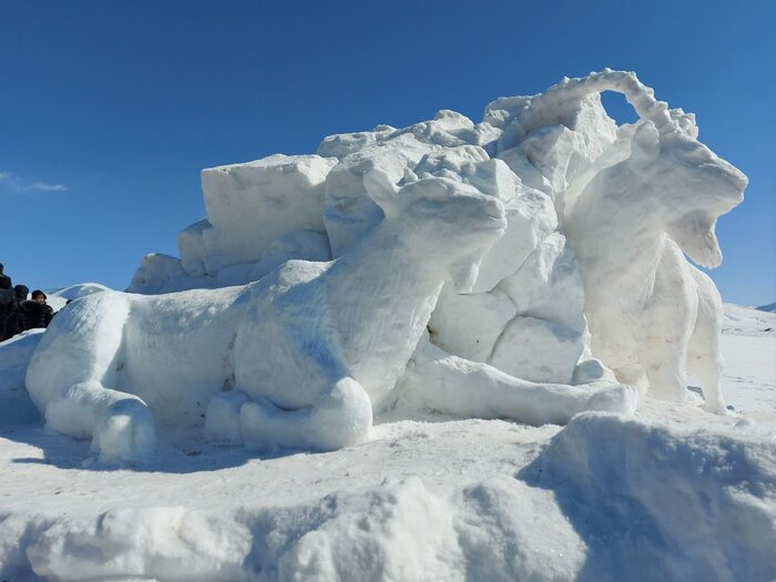 یازدهمین دوره جشنواره بازیهای زمستانی خلخال برگزار شد