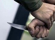 عاملان قتل در دشتستان بوشهر دستگیر شدند