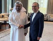 Iran, UAE officials discuss regional, international issues