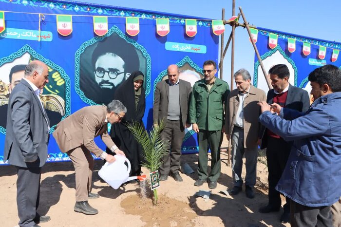 بهرهبرداری از پروژه ۴۰۰ هکتاری نهالکاری در محور قم - گرمسار